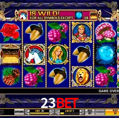 23bet Rio de Janeiro - Bonus Terms